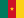 Cameroon Flag